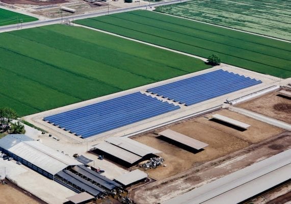 coldwell-solar-farms-growers