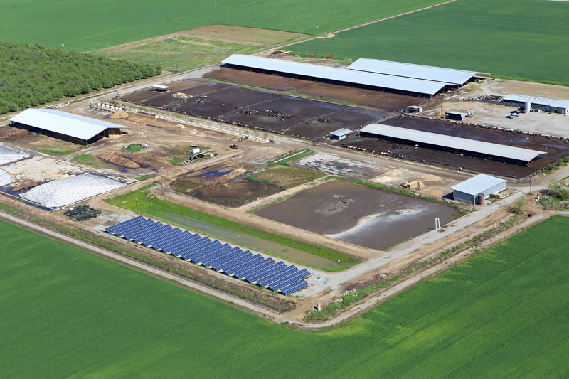 coldwell-solar-mtsj-dairy