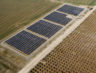coldwell-solar-iest-family-farms-ii5