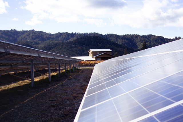 Looking across the surface of a long row of sola panels with a winery building and green hills in the background.