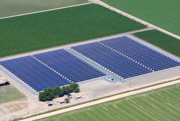 Large solar farm on California agricultural land bordered on all sides by green crop land.