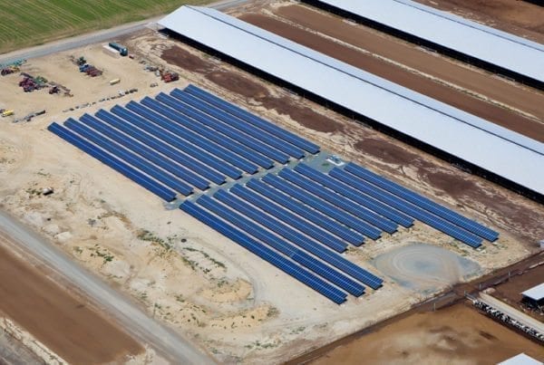 Aerial view of solar panel installation on a California dairy farm with livestock pens in the background.