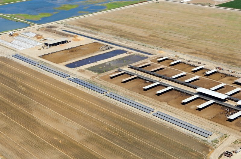 Aerial view of a long narrow solar panel installation on a dairy farm in California with livestock pens, water retention ponds and barren farm land in the background.