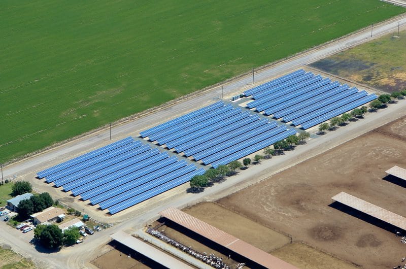 Aerial view of an agricultural solar installation at a California dairy with livestock on one side and green pastures on the other side.