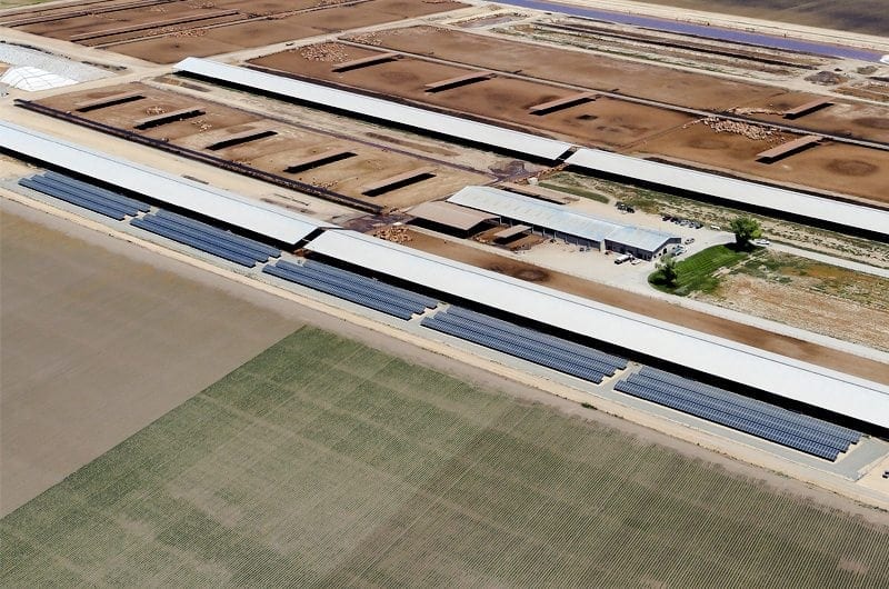 Aerial view of a small solar panel installation on a California dairy farm surrounded by livestock pens and commercial farm buildings.