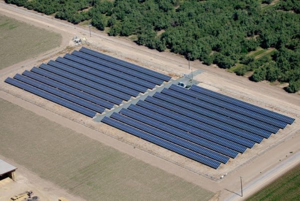 Aerial view of a small solar panel installation on a California dairy farm surrounded by rows of crop trees and agricultural buildings.