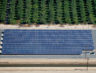 coldwell-solar-kg-farms2