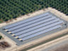 coldwell-solar-kg-farms3
