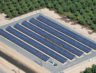 coldwell-solar-kg-farms5