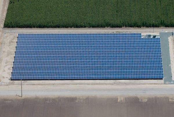 Aerial view of rows of blue solar panels in a solar installation on agricultural land adjacent to rows of green crops.