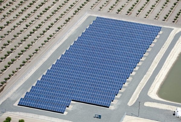 Aerial view of a ground-mounted agricultural solar installation situated next to a water retention pond on the right and rows of almond crop trees on the left.