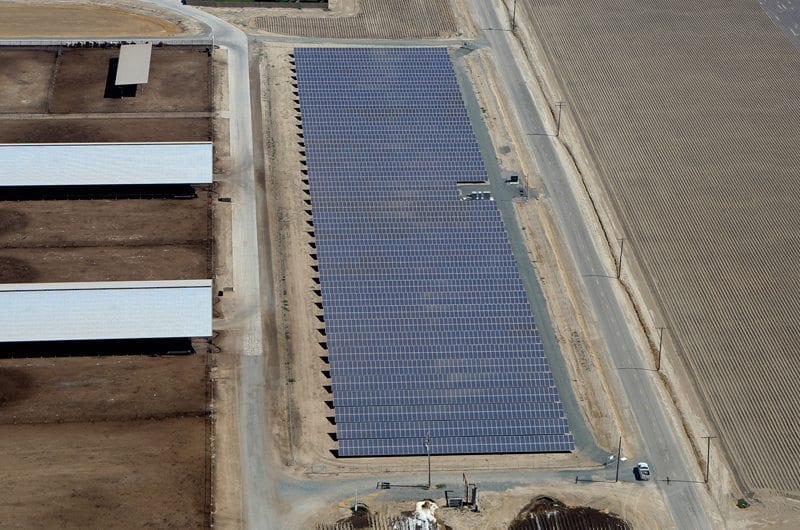 Rows of solar panels in a solar array at a dairy farm surrounded by livestock pens and plowed fields.
