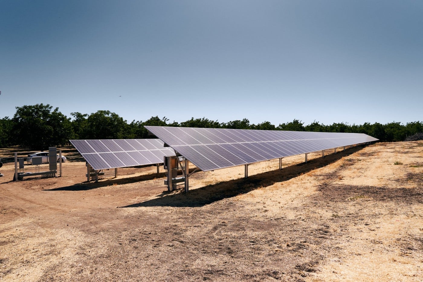 Two rows of solar panels backed by a row of trees and blue sky at Citrona Farms in Winters, California.
