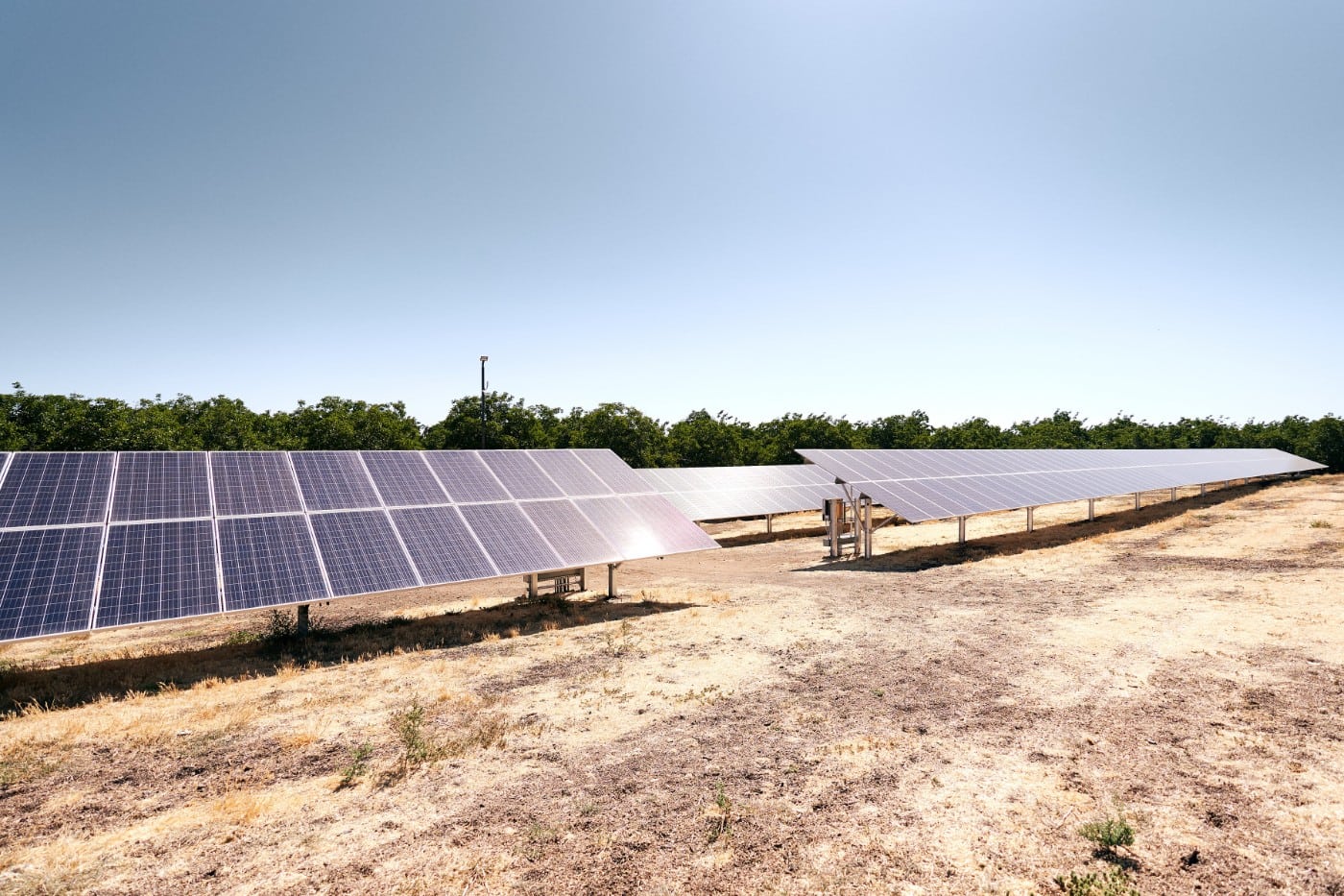 Two rows of solar panels backed by a row of trees and blue sky at Citrona Farms in Winters, California.