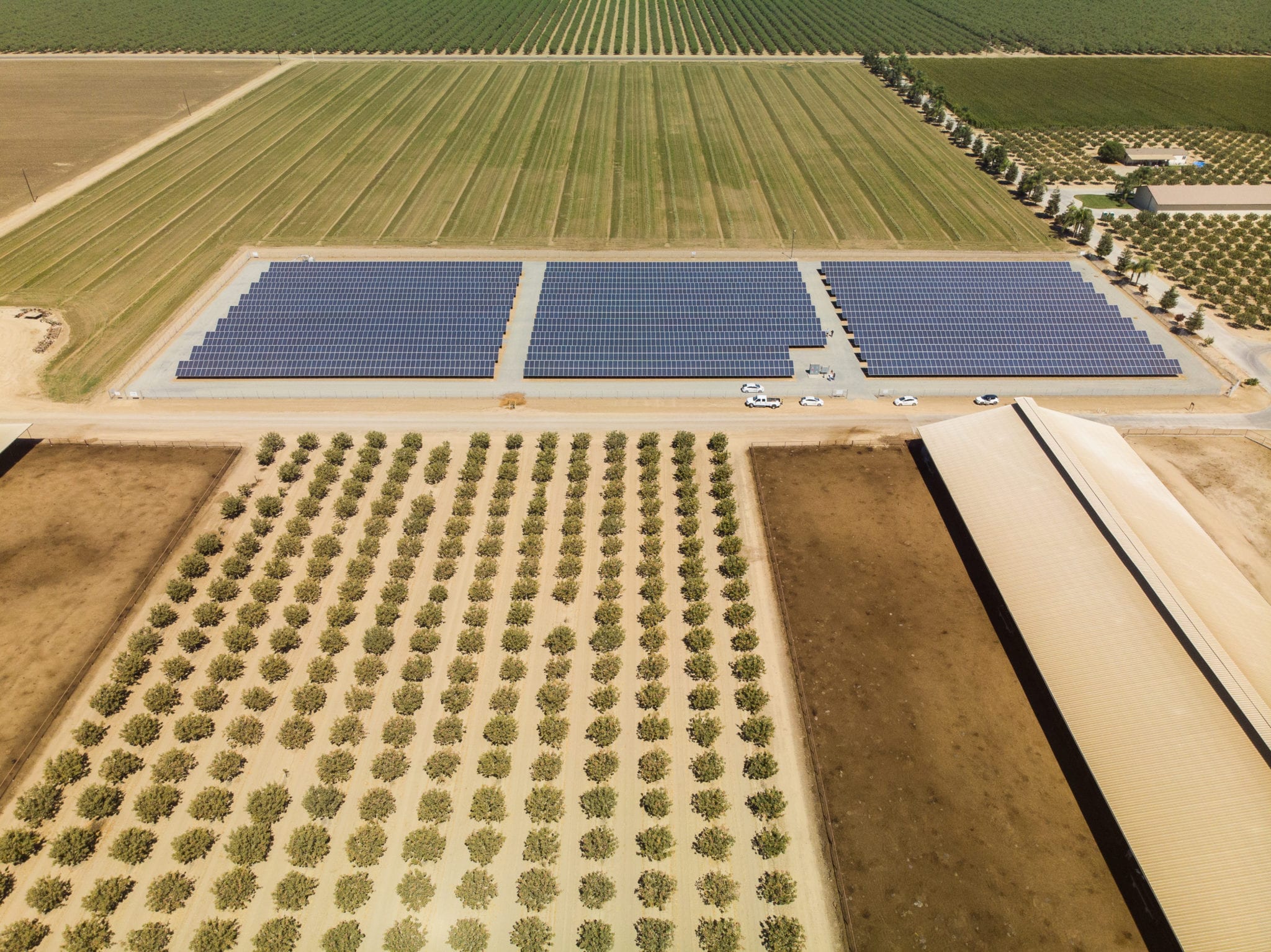 Aerial view of rows of solar panels surrounded by green crops and plowed farmland at Skyview Dairy in Shafter, California.