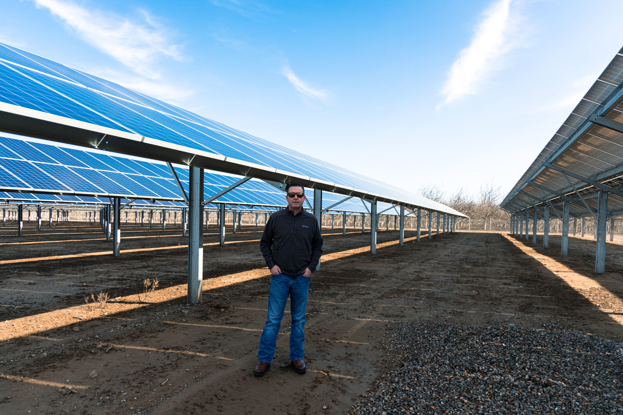 Man standing among rows of ground-mounted solar panels on a farm in California.