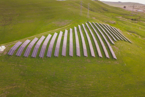 Aerial view of a solar farm among green rolling hills in Petaluma, California.