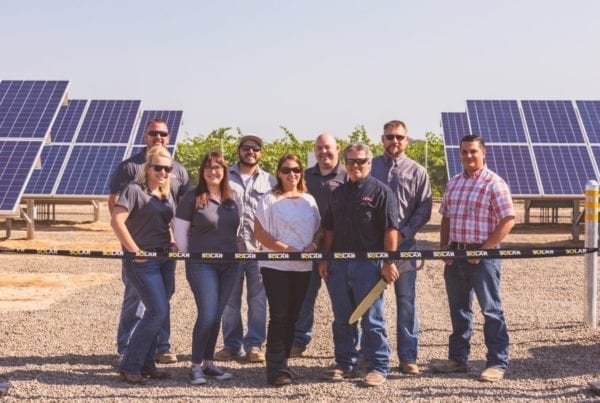 Employees of Lance Gunland Grapes standing at the ribbon cutting ceremony with solar panels and grape vines in the background.