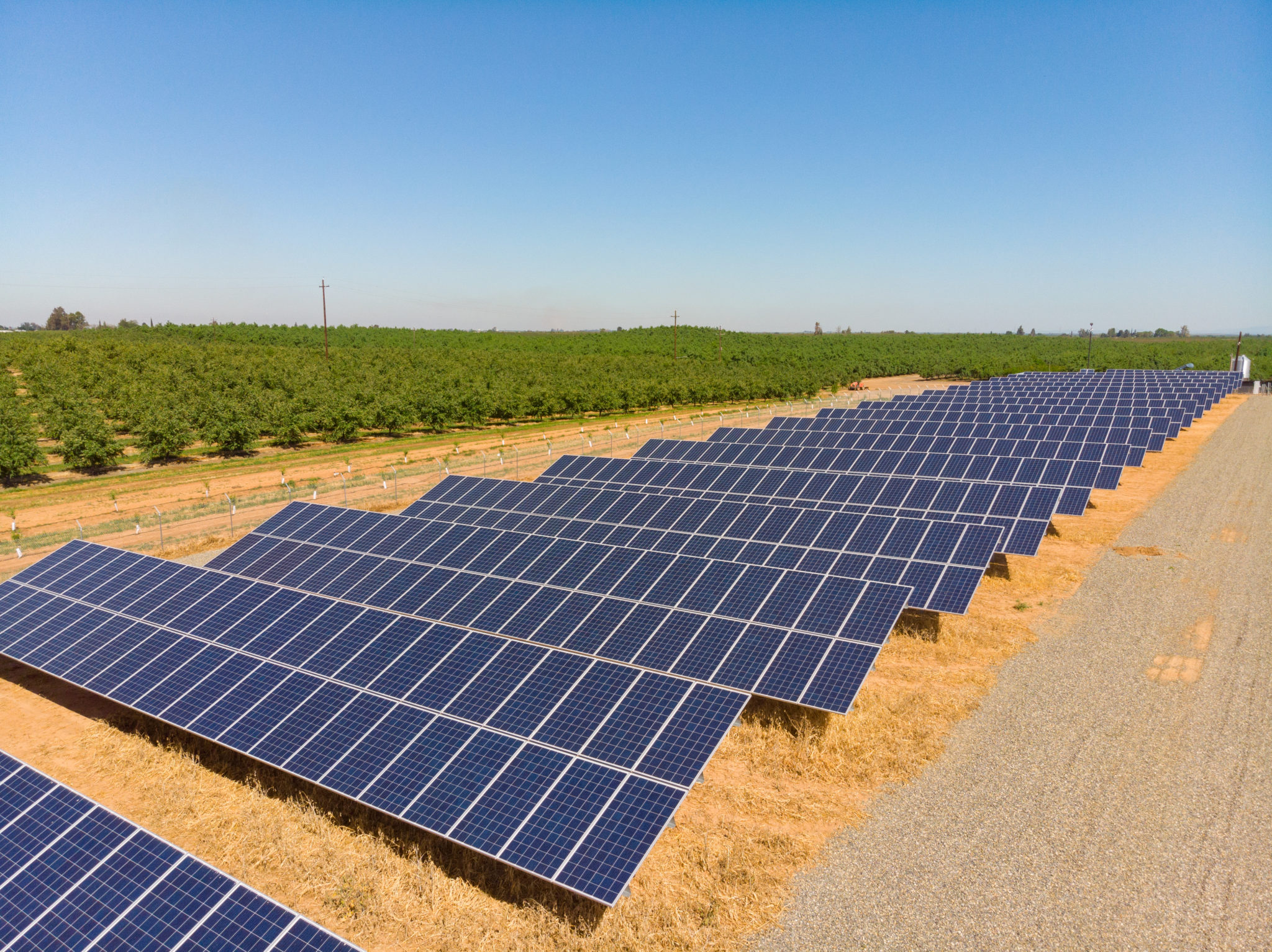 A small solar farm in Gustine, California with rows of crops in the background and a blue sky.