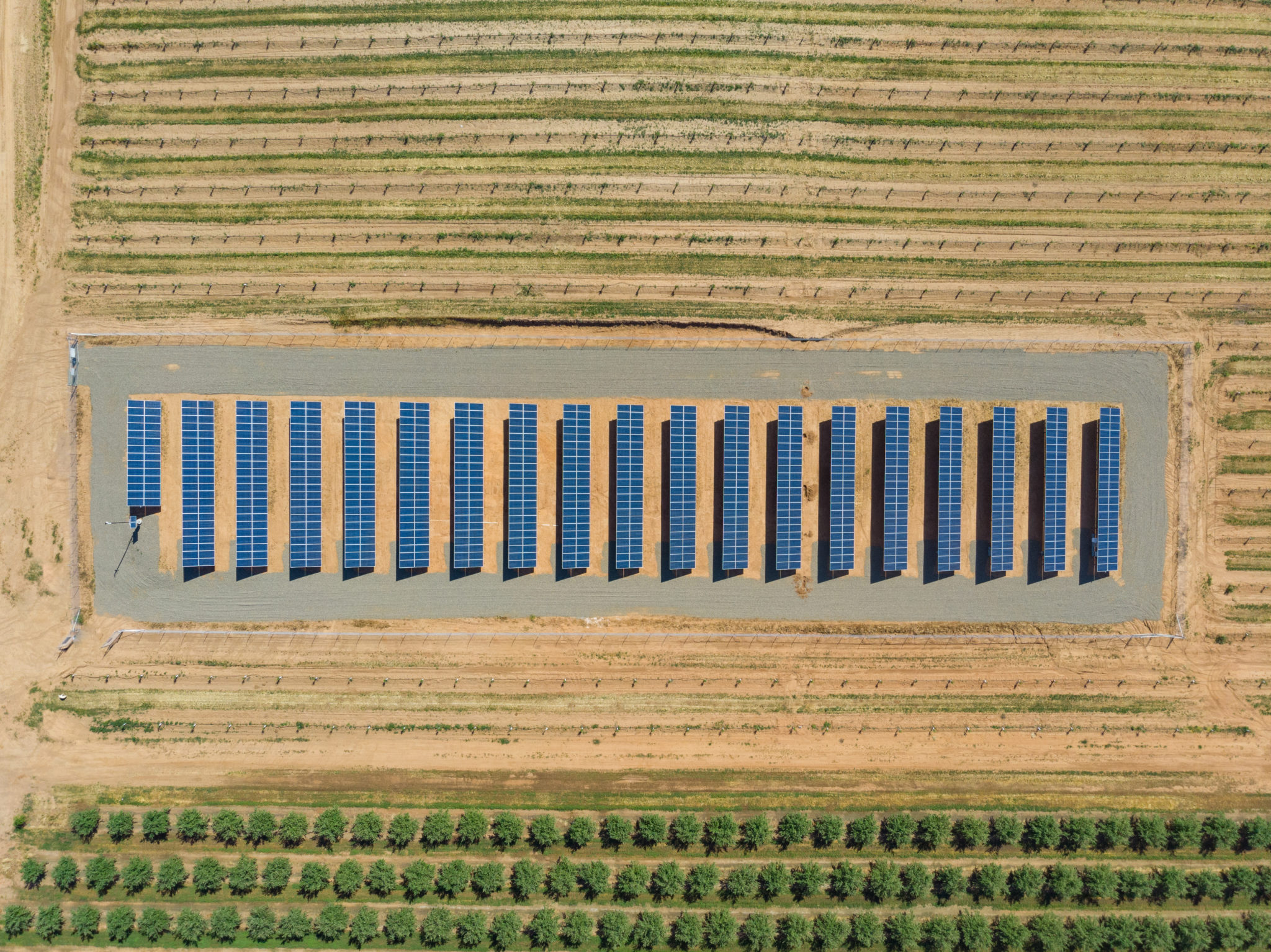 A small solar farm in Gustine, California with rows of crops in the foreground and pasture land in the background.