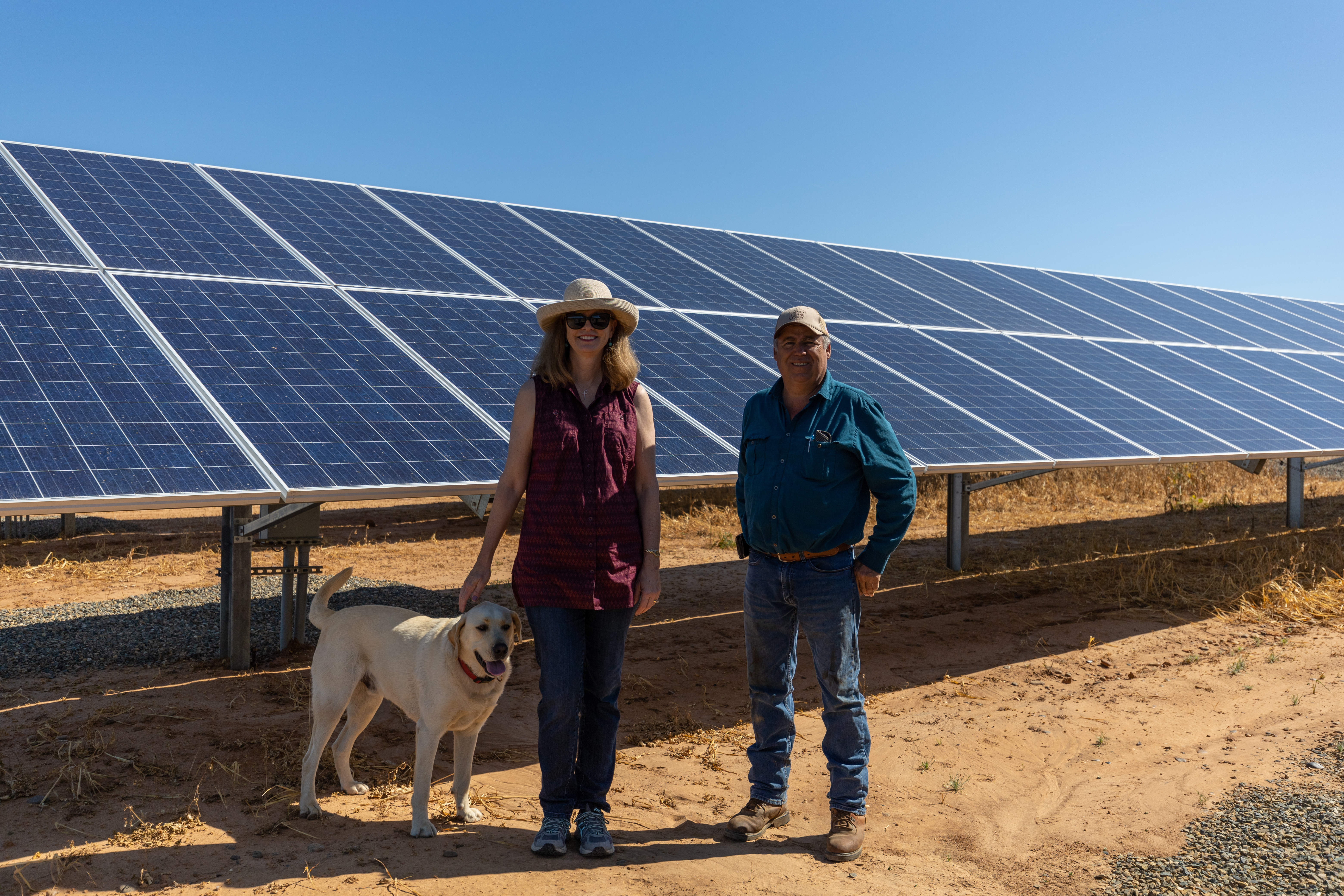 Woman, man and a yellow lab retriever standing in front of their ground-mounted new solar panels.