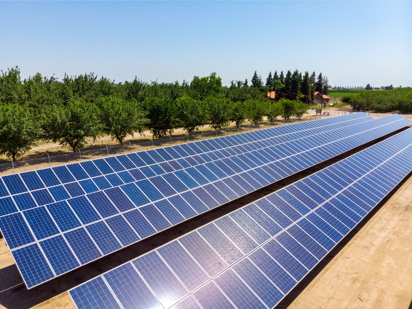 Closeup view of three rows of solar panels at Machado Farms in Fresno with crop trees in the background.