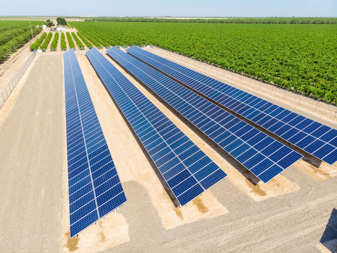 Aerial view of newly constructed solar panels surrounded by crop trees and grape vines against a blue sky.