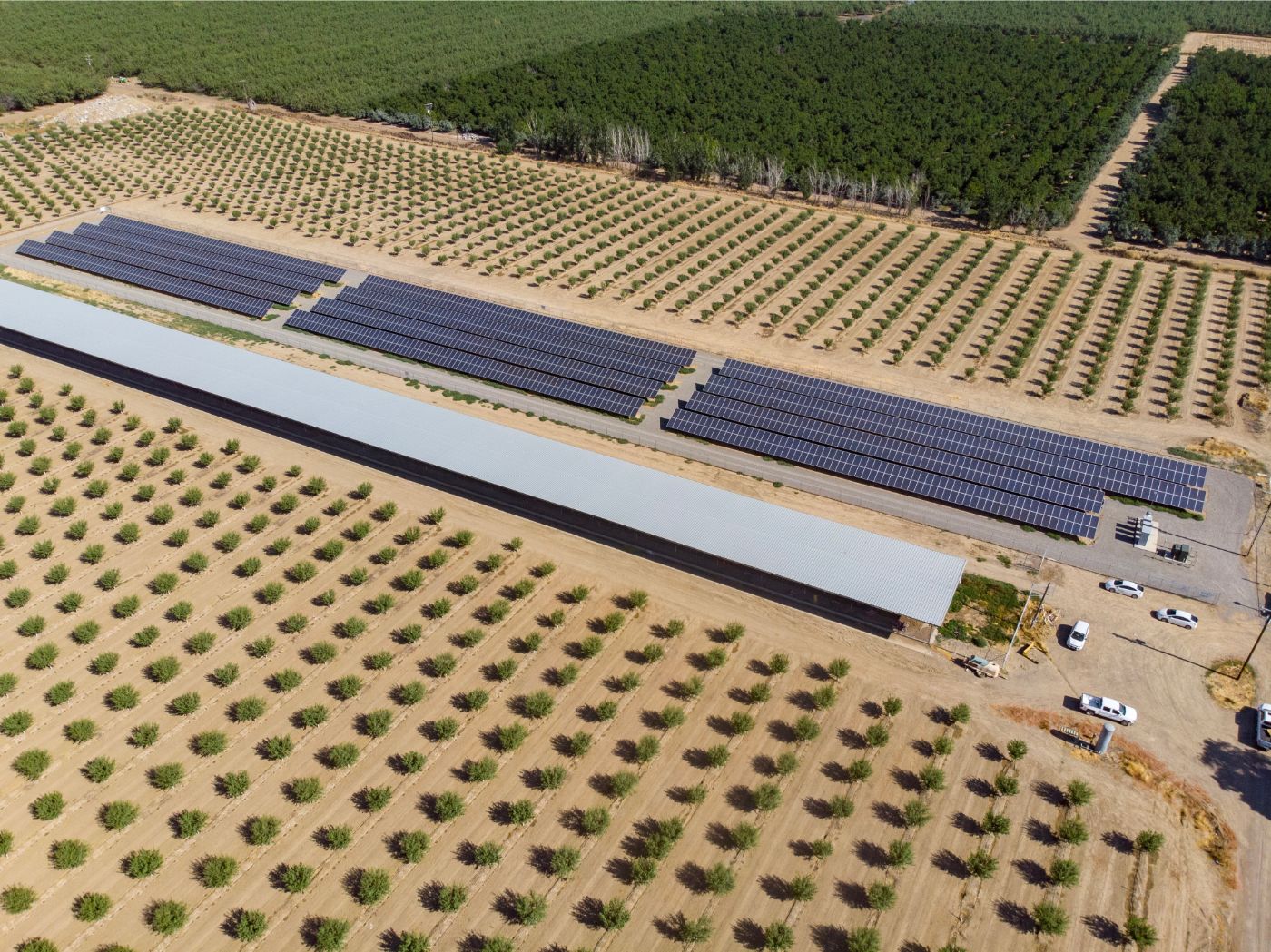 Aerial view of solar farm at Iyer Farms surrounded by planted crops and trees.