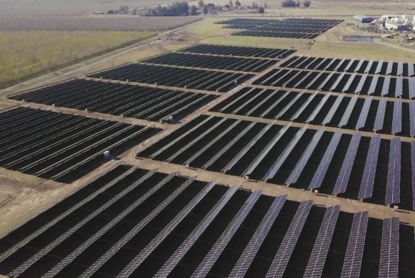 Aerial view of large solar farm on agricultural land in Red Bluff, California.