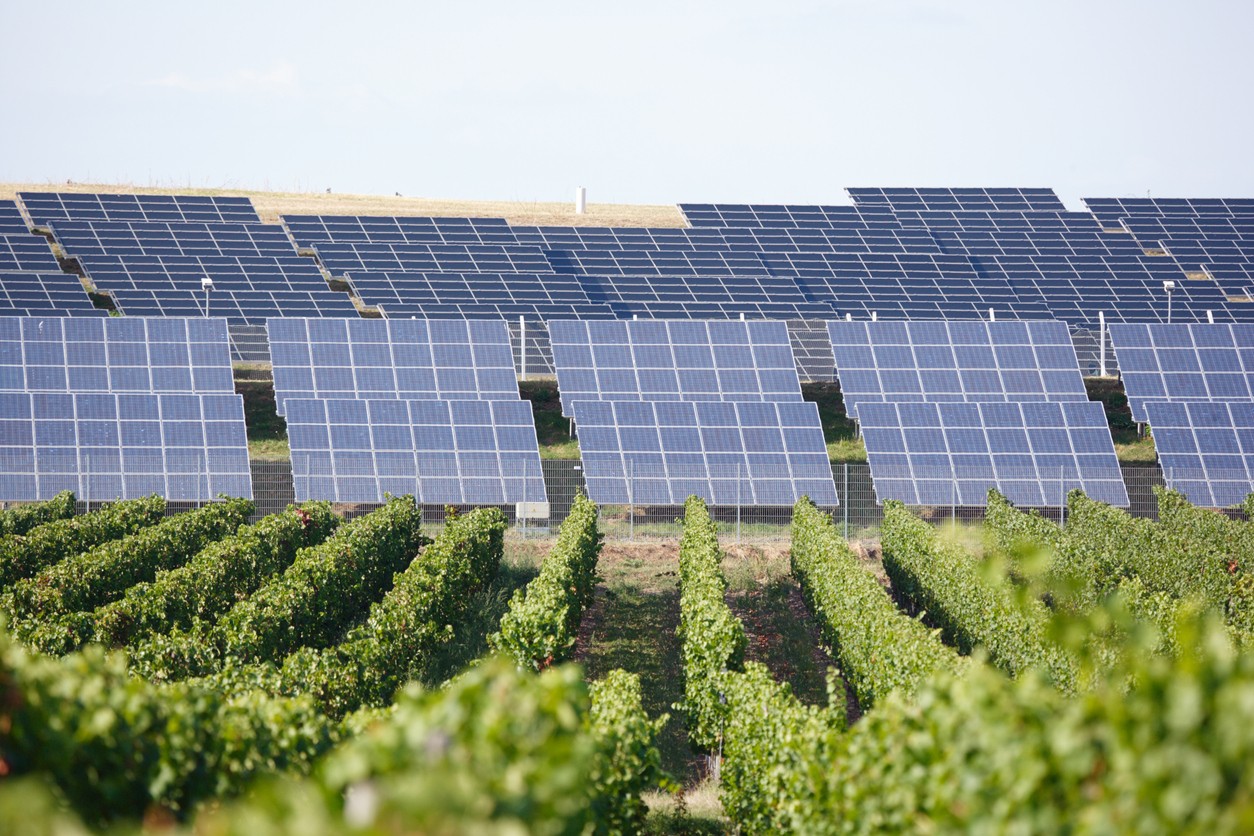 commercial-solar-array-in-vineyard