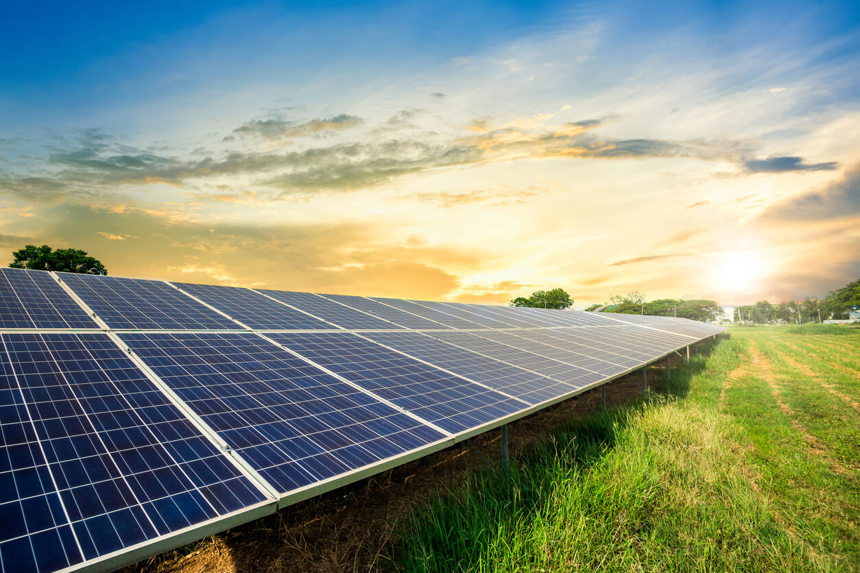 Closeup view of a long row of solar panels in a solar farm with green grass on one side and a sunset in the background.