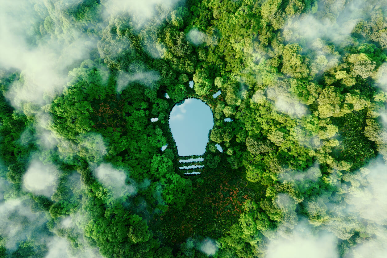Concept of green energy with an aerial view of a pond in the shape of a light bulb surrounded by green forest and misty clouds.