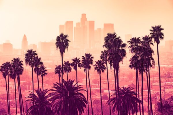 Palm trees against a polluted Los Angeles skyline.