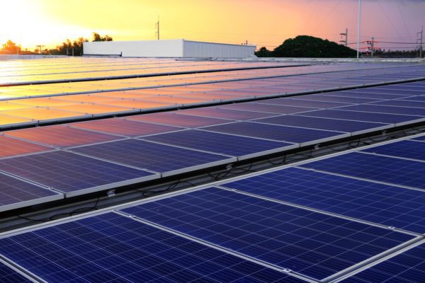 Looking across rows of solar panels on a commercial building roof at sunset. 