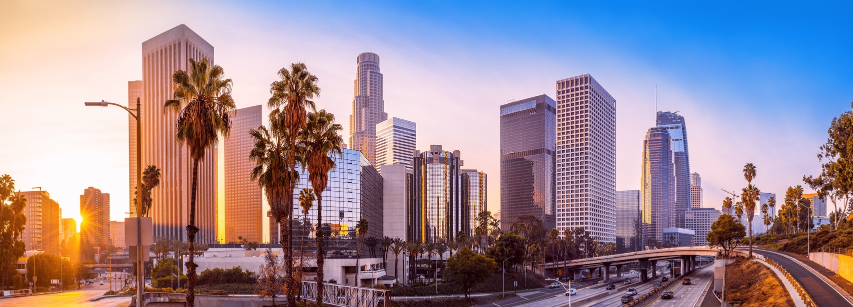 Downtown Los Angeles Skyline 